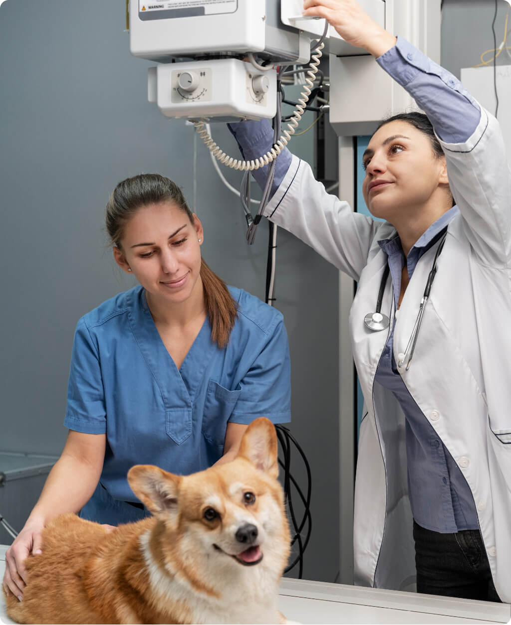 Folyamat bemutatása